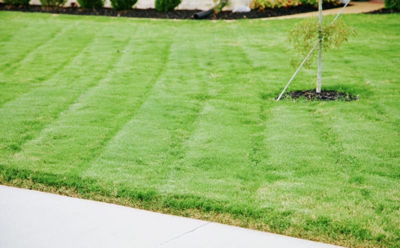 Bentgrass Sod Installation in Rockwall, TX