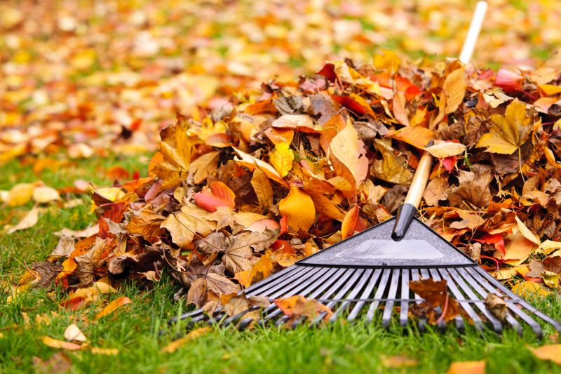 Fall Lawn Cleanup Image 2