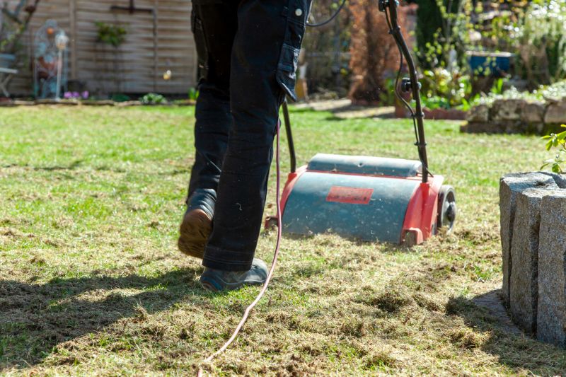Lawn Dethatching Cost Guide — Cost of Lawn Dethatching