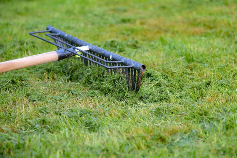 Lawn Dethatching Cost Guide — Cost of Lawn Dethatching