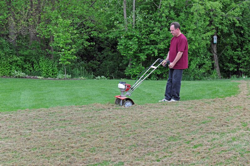 Lawn Dethatching Cost Guide — Cost of Lawn Dethatching