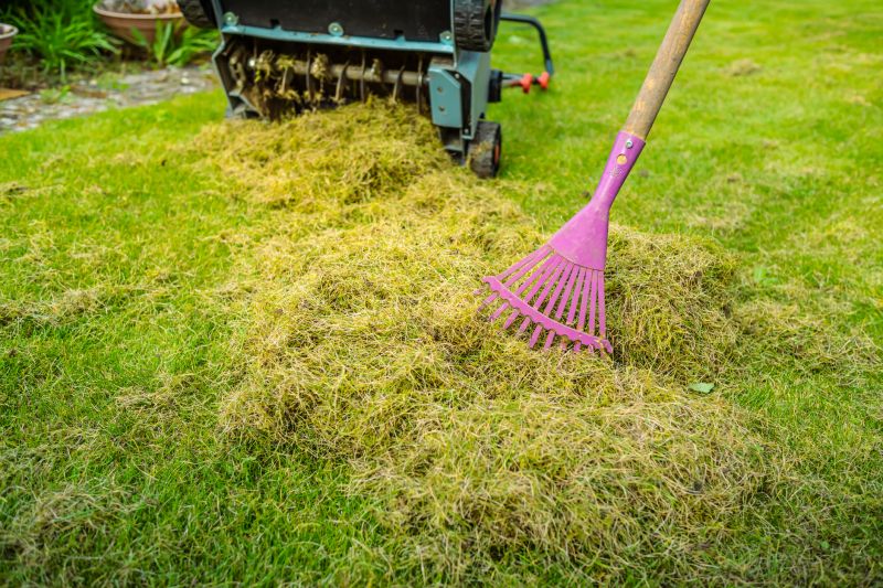 Lawn Dethatching Cost Guide — Cost of Lawn Dethatching