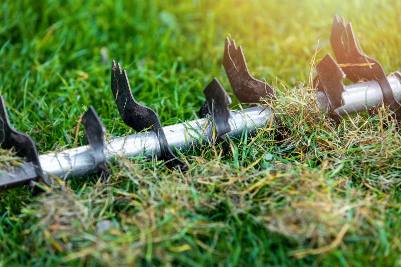 Lawn Dethatching