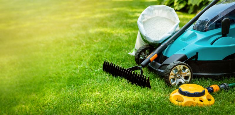Black Friday Lawn Service Deals