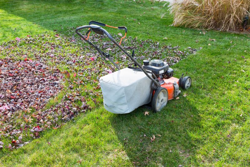 Holiday Season Lawn Maintenance
