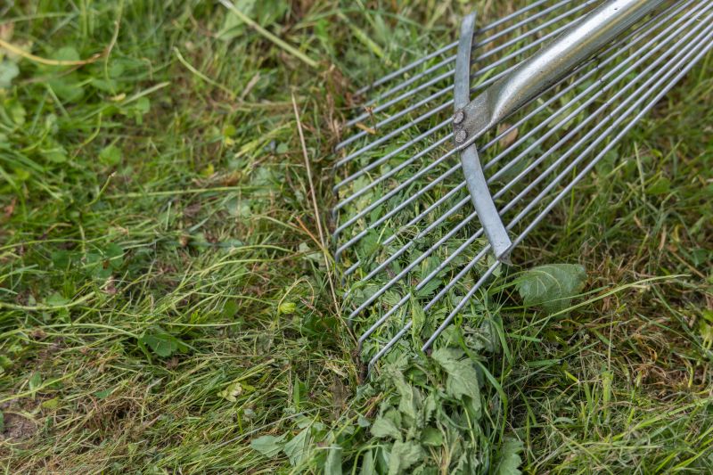 Frequency of Dethatching