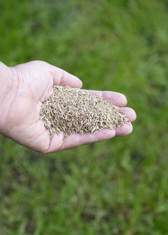 Residential Grass Seeding in Honolulu, HI