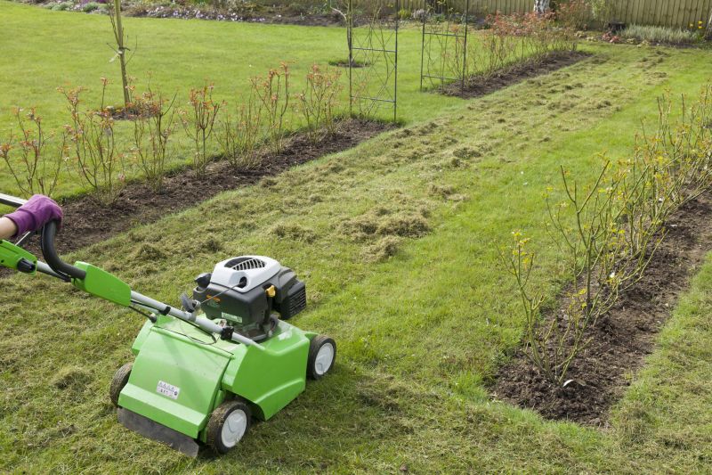 Enhance Nutrient Absorption With Professional Lawn Dethatching Service!