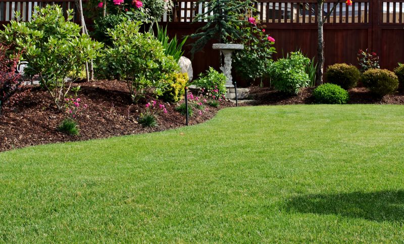 Lawn Dethatching Service Promotes Better Air Circulation!